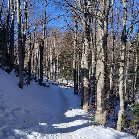 Il Nido Nel Bosco Apartmán Abetone