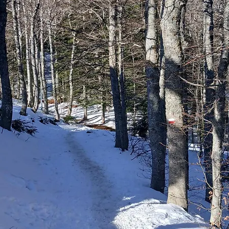 Il Nido Nel Bosco Apartmán