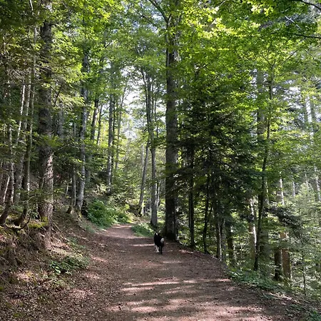 Apartmán Il Nido Nel Bosco Abetone