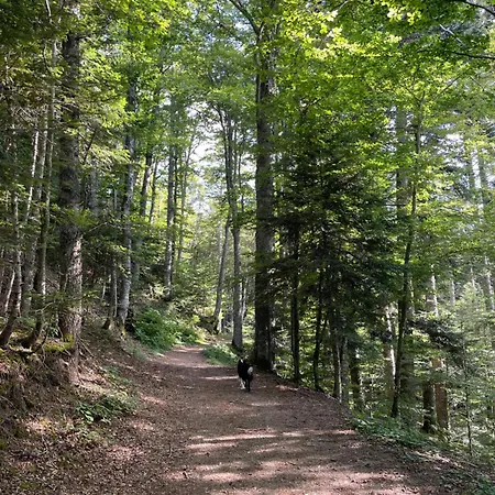 Apartamento Il Nido Nel Bosco Abetone